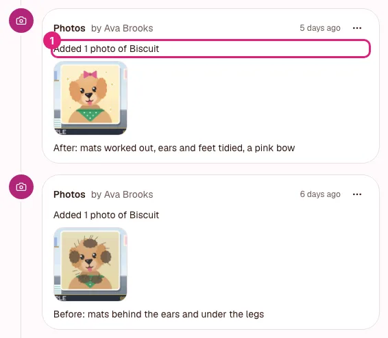 A contact's timeline in the grooming sample: a dog's Before and After pictures, each an entry with its caption and a thumbnail.
